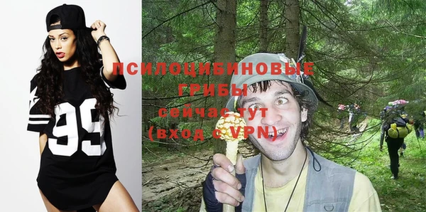 индика Армянск
