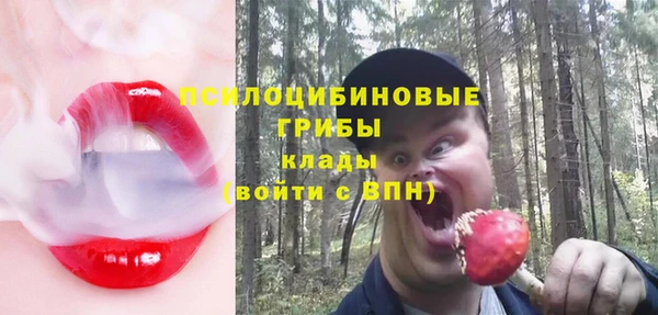 индика Армянск
