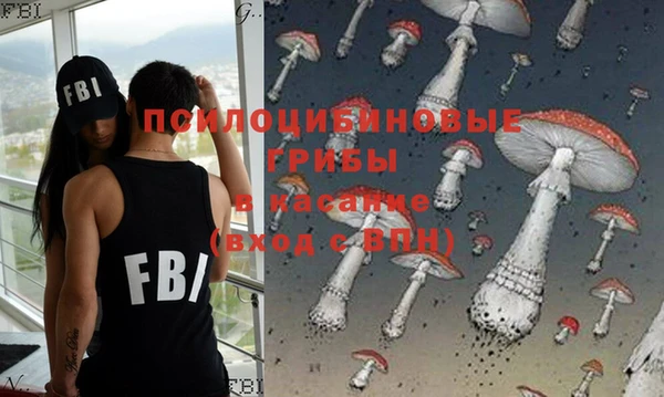 индика Армянск